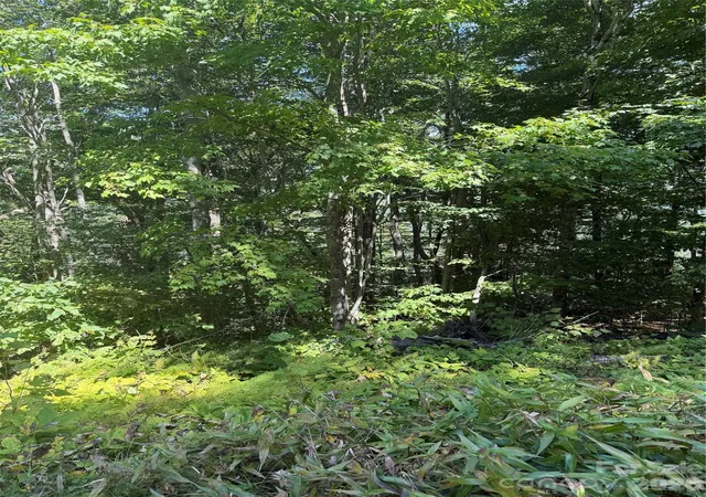 Photo 4 of Land for sale at 110 Chestnut Ln, Mars Hill, NC 28754 | MLS# 4423096 | Listing updated on 2026-09-17