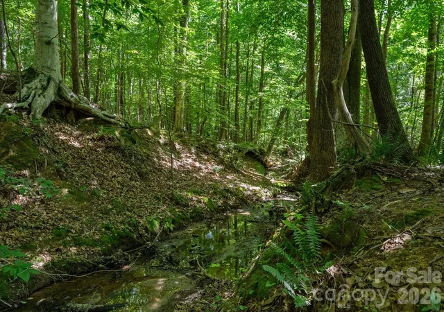 Photo 2 of Land for sale at 000 Peacehaven Rd #8, Mc Connells, SC 29726 | MLS# 4423795 | Listing updated on 2026-09-16