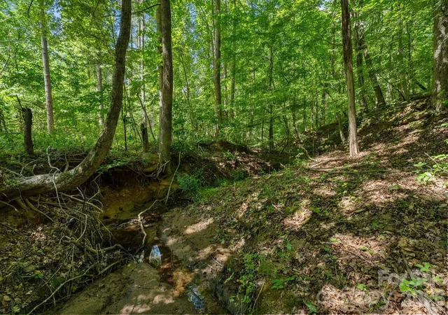 Photo 3 of Land for sale at 000 Peacehaven Rd #8, Mc Connells, SC 29726 | MLS# 4423795 | Listing updated on 2026-09-16
