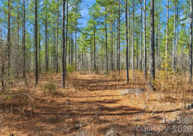 Photo 3 of Land for sale at 000 Peacehaven Rd #8, Mc Connells, SC 29726 | MLS# 4423795 | Listing updated on 2026-09-16