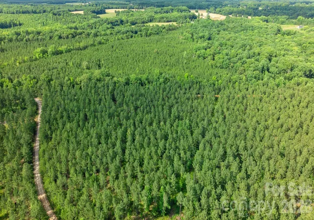 Photo 4 of Land for sale at 000 Peacehaven Rd #8, Mc Connells, SC 29726 | MLS# 4423795 | Listing updated on 2026-09-16