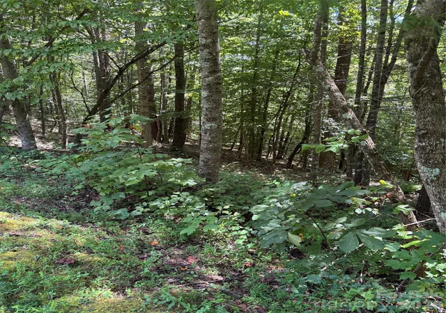 Photo 3 of Land for sale at Lot 14 Walnut Ridge Dr #14, Lenoir, NC 28645 | MLS# 4423836 | Listing updated on 2026-09-16