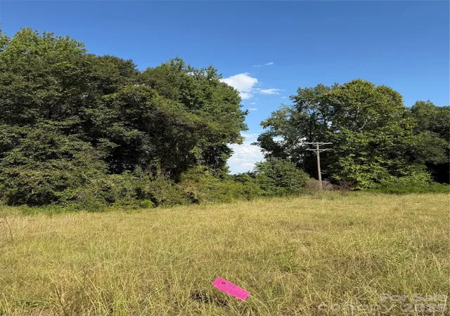 Photo 1 of Land for sale at 801 S Van Lingle Mungo Blvd, Pageland, SC 29728 | MLS# 4424027 | Listing updated on 2026-09-16
