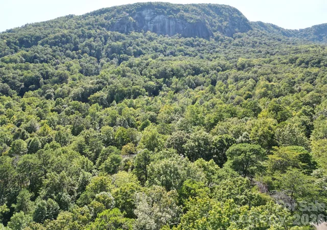 Land for sale at Lot 124 125 & 101 Banjo Ct, Lake Lure, NC 28746 | MLS# 4425078