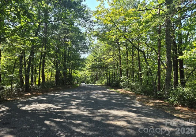 Photo 2 of Land for sale at Lot 124 125 & 101 Banjo Ct, Lake Lure, NC 28746 | MLS# 4425078 | Listing updated on 2026-09-16