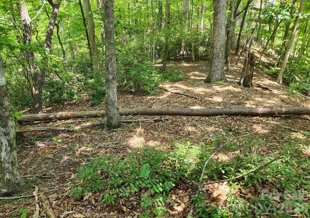 Photo 3 of Land for sale at Lot 124 125 & 101 Banjo Ct, Lake Lure, NC 28746 | MLS# 4425078 | Listing updated on 2026-09-16