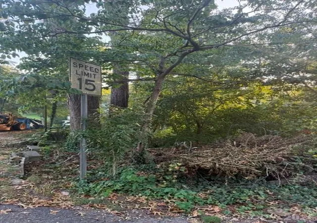 Photo 1 of Land for sale at 99999 Reese St, Asheville, NC 28804 | MLS# 4425134 | Listing updated on 2026-09-16