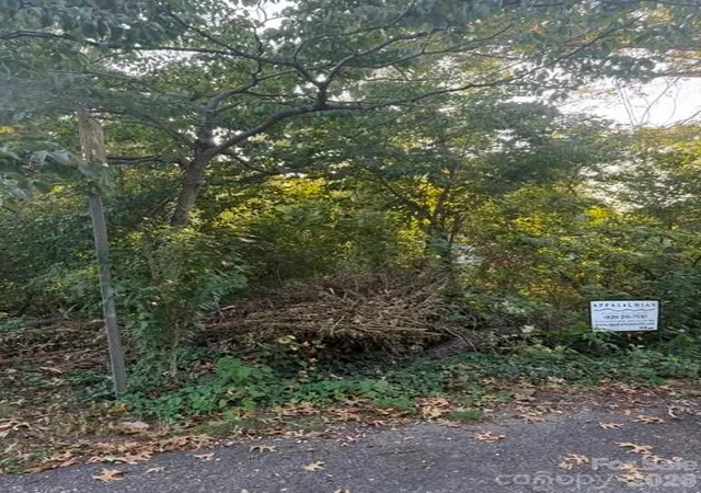 Photo 2 of Land for sale at 99999 Reese St, Asheville, NC 28804 | MLS# 4425134 | Listing updated on 2026-09-16