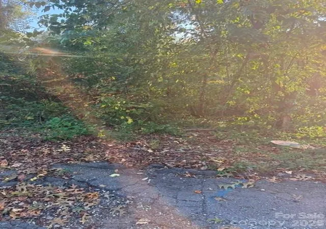 Photo 3 of Land for sale at 99999 Reese St, Asheville, NC 28804 | MLS# 4425134 | Listing updated on 2026-09-16