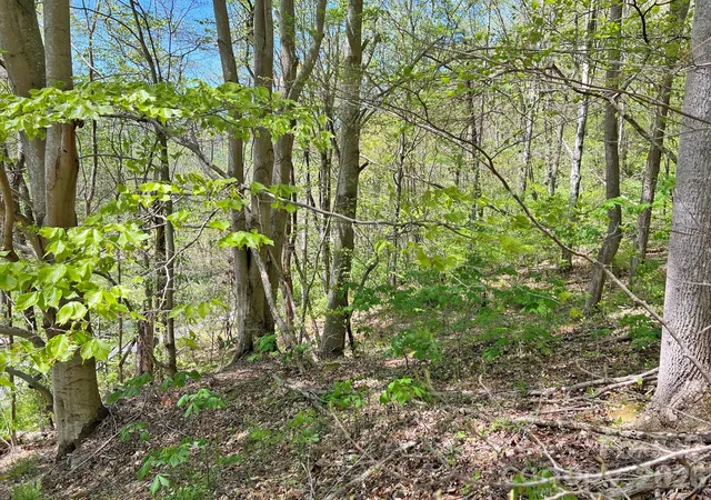 Photo 2 of Land for sale at 9999 Nc 209 Hwy, Hot Springs, NC 28743 | MLS# 4425392 | Listing updated on 2026-09-18
