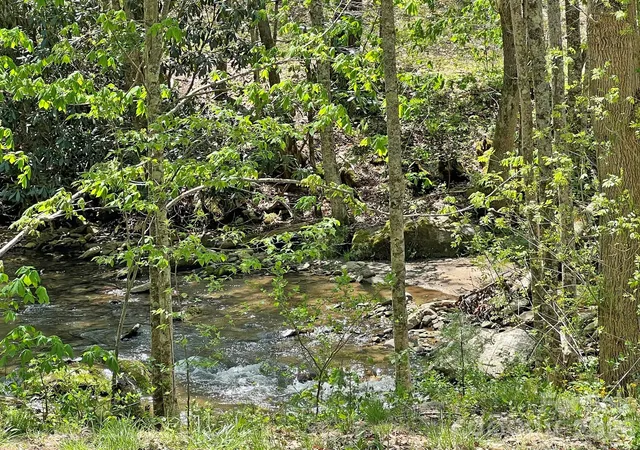 Photo 3 of Land for sale at 9999 Nc 209 Hwy, Hot Springs, NC 28743 | MLS# 4425392 | Listing updated on 2026-09-18