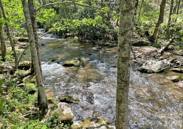 Photo 3 of Land for sale at 9999 Nc 209 Hwy, Hot Springs, NC 28743 | MLS# 4425392 | Listing updated on 2026-09-18