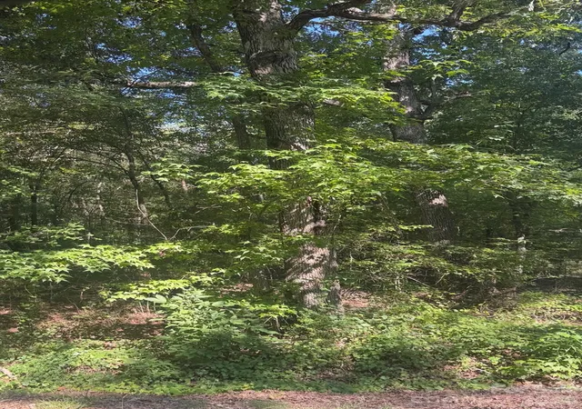 Photo 1 of Land for sale at 000 Sweet Home Church Rd, Albemarle, NC 28001 | MLS# 4425434 | Listing updated on 2026-09-16