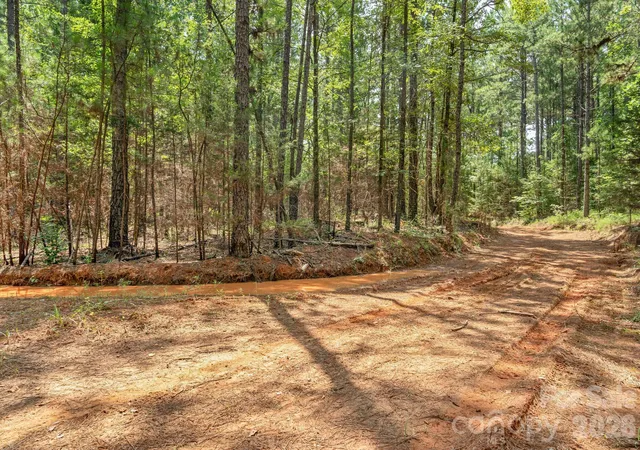 Photo 4 of Land for sale at 0000 Highway 72 #5, Carlisle, SC 29031 | MLS# 4425813 | Listing updated on 2026-09-21
