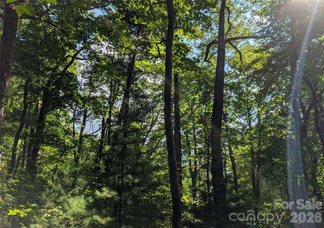 Photo 1 of Land for sale at 0 Raspberry, Hot Springs, NC 28743 | MLS# 4425833 | Listing updated on 2026-09-17