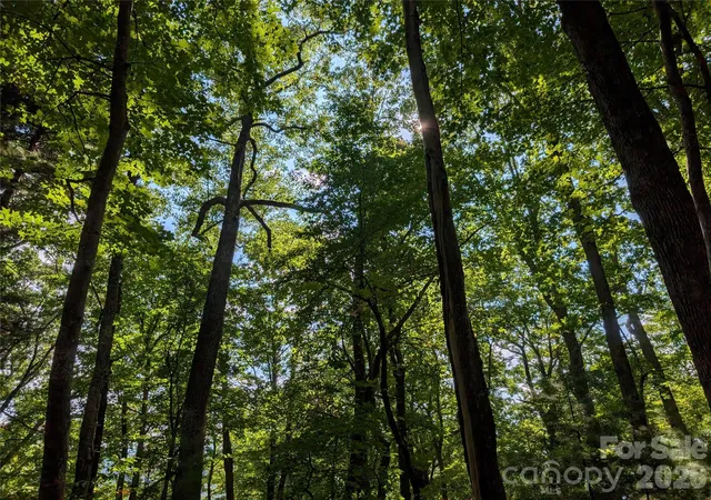 Photo 2 of Land for sale at 0 Raspberry, Hot Springs, NC 28743 | MLS# 4425833 | Listing updated on 2026-09-17