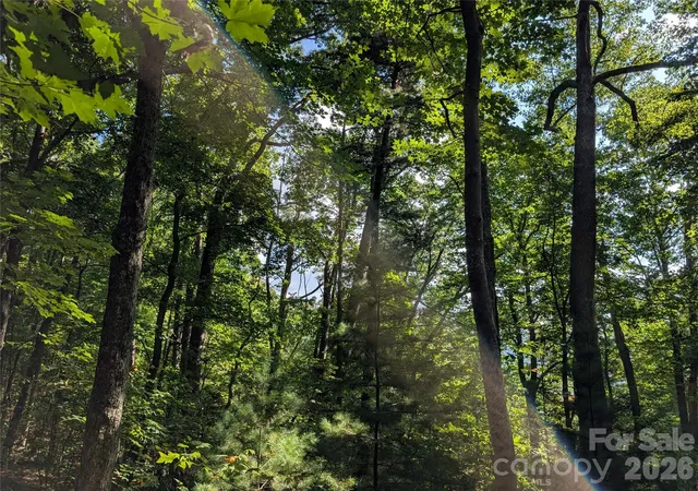 Photo 3 of Land for sale at 0 Raspberry, Hot Springs, NC 28743 | MLS# 4425833 | Listing updated on 2026-09-17