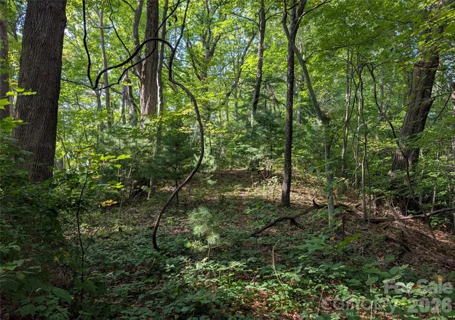 Photo 3 of Land for sale at 0 Raspberry, Hot Springs, NC 28743 | MLS# 4425833 | Listing updated on 2026-09-17