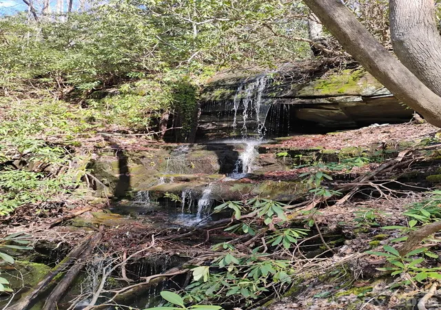 Photo 1 of Land for sale at 000 Peppervine Cir, Rosman, NC 28772 | MLS# 4425874 | Listing updated on 2026-09-24