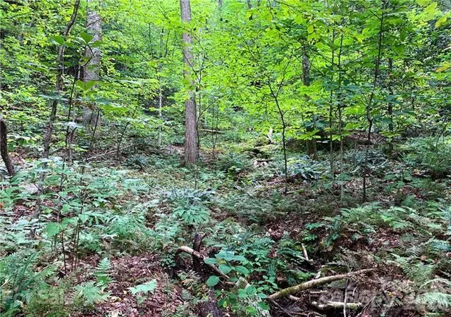 Photo 3 of Land for sale at 000 Peppervine Cir, Rosman, NC 28772 | MLS# 4425874 | Listing updated on 2026-09-24