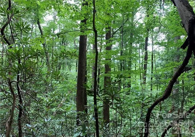 Photo 3 of Land for sale at 000 Peppervine Cir, Rosman, NC 28772 | MLS# 4425874 | Listing updated on 2026-09-24