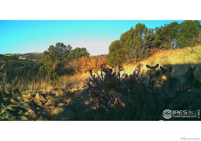 Photo 2 of Land for sale at 0 Cap Rock Rds #4, Canon City, CO 81212 | MLS# IR1026687 | Listing updated on 2026-09-17