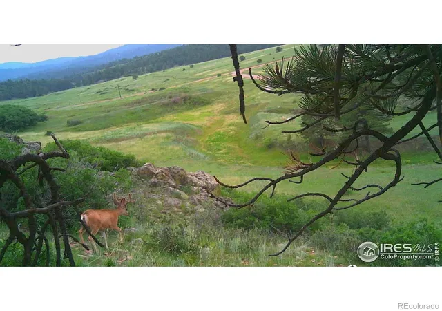 Photo 4 of Land for sale at 0 Cap Rock Rds #4, Canon City, CO 81212 | MLS# IR1026687 | Listing updated on 2026-09-17