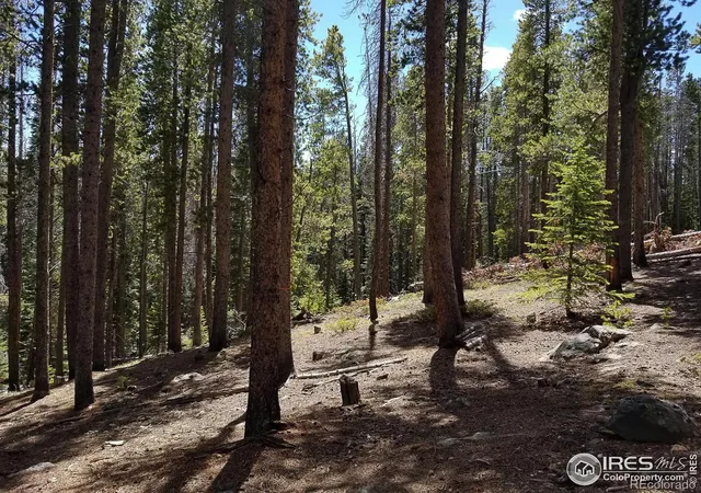Photo 3 of Land for sale at 274 Arapahoe Way, Red Feather Lakes, CO 80545 | MLS# IR1033088 | Listing updated on 2026-09-17
