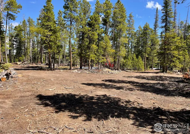 Photo 2 of Land for sale at 0 Forest Service 169 Rd, Red Feather Lakes, CO 80545 | MLS# IR1034255 | Listing updated on 2026-09-17