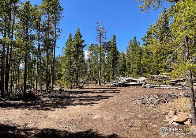 Photo 3 of Land for sale at 0 Forest Service 169 Rd, Red Feather Lakes, CO 80545 | MLS# IR1034255 | Listing updated on 2026-09-17