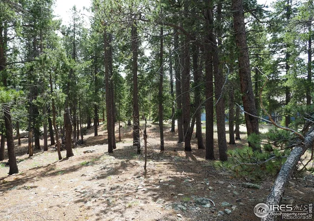Photo 2 of Land for sale at 0 Caesar Rd, Black Hawk, CO 80422 | MLS# IR1036367 | Listing updated on 2026-09-17