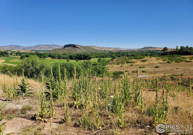Photo 4 of Land for sale at 4516 Bingham Hl Rd, Fort Collins, CO 80521 | MLS# IR1042869 | Listing updated on 2026-09-17