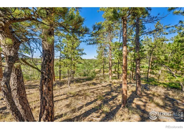 Photo 4 of Land for sale at 70 Northwoods Dr, Red Feather Lakes, CO 80545 | MLS# IR1043117 | Listing updated on 2026-09-17