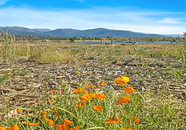 Photo 3 of Land for sale at 227 County Road 4911, Grand Lake, CO 80447 | MLS# 4466657 | Listing updated on 2026-09-29