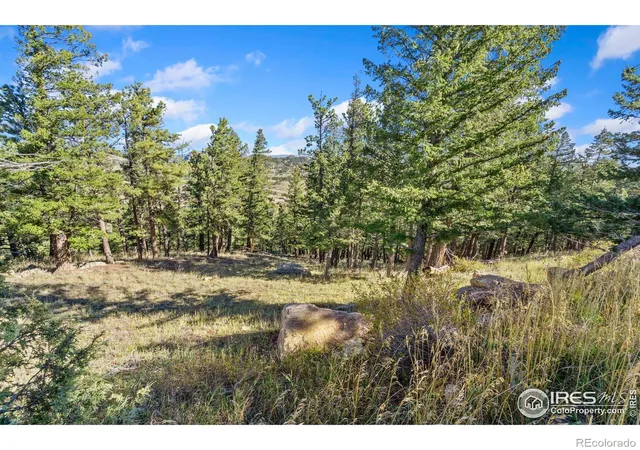 Photo 2 of Land for sale at 90 Sunlight Cir, Livermore, CO 80536 | MLS# IR1045623 | Listing updated on 2026-09-17
