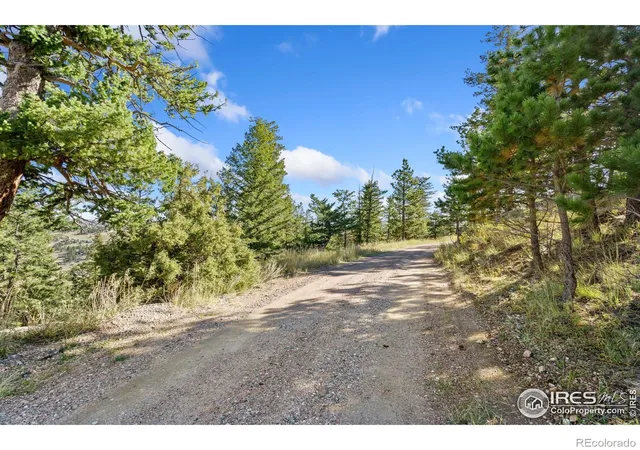 Photo 3 of Land for sale at 90 Sunlight Cir, Livermore, CO 80536 | MLS# IR1045623 | Listing updated on 2026-09-17