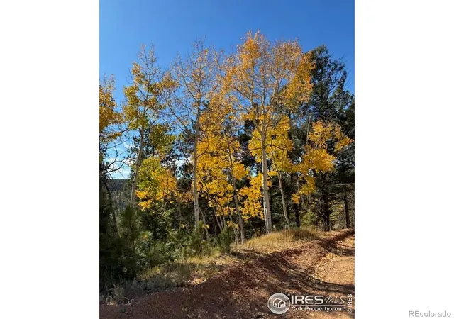 Photo 1 of Land for sale at 85 Remwood Cir, Divide, CO 80814 | MLS# IR1045703 | Listing updated on 2026-09-17