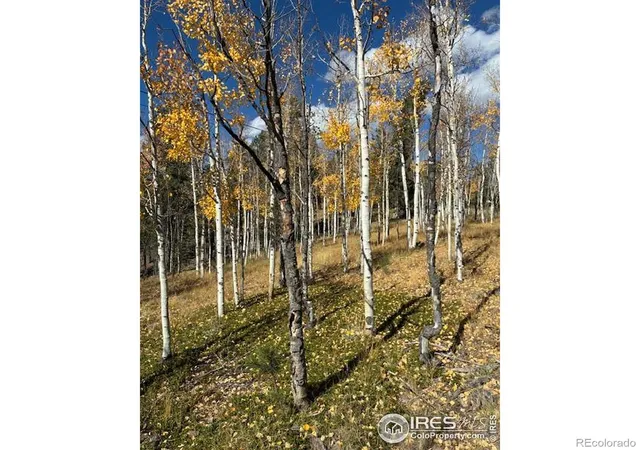 Photo 1 of Land for sale at 85 Remwood Cir, Divide, CO 80814 | MLS# IR1045703 | Listing updated on 2026-09-17