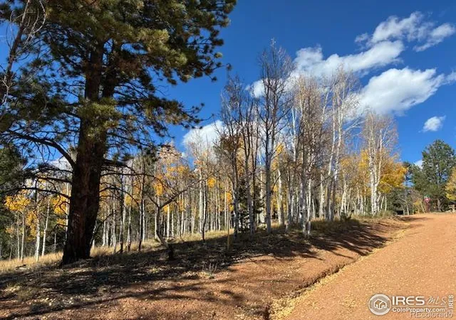 Photo 2 of Land for sale at 85 Remwood Cir, Divide, CO 80814 | MLS# IR1045703 | Listing updated on 2026-09-17
