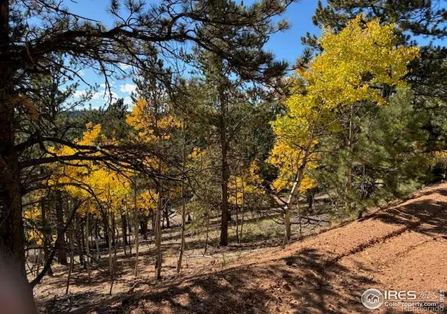 Photo 3 of Land for sale at 85 Remwood Cir, Divide, CO 80814 | MLS# IR1045703 | Listing updated on 2026-09-17