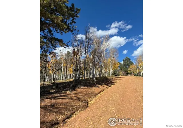 Photo 4 of Land for sale at 85 Remwood Cir, Divide, CO 80814 | MLS# IR1045703 | Listing updated on 2026-09-17