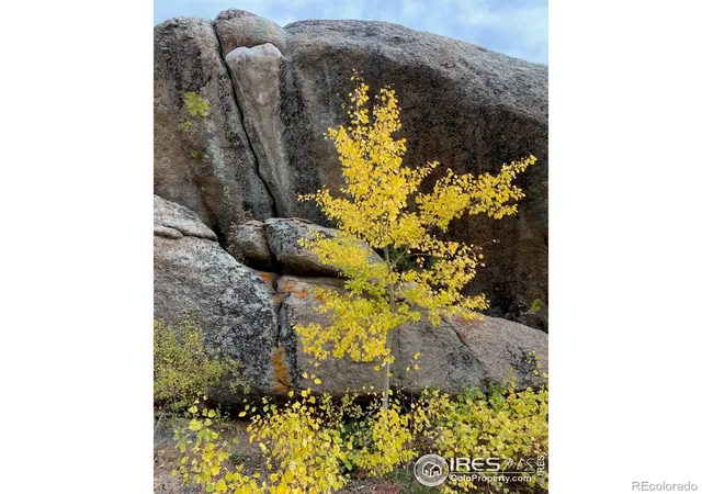 Photo 2 of Land for sale at 0 Northwoods Dr, Red Feather Lakes, CO 80545 | MLS# IR1046859 | Listing updated on 2026-09-17