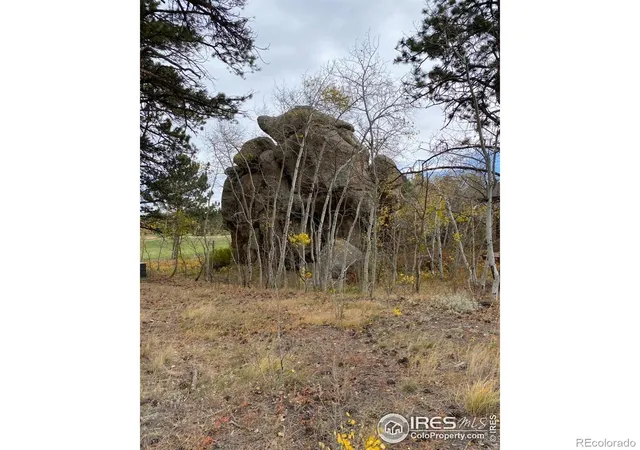 Photo 3 of Land for sale at 0 Northwoods Dr, Red Feather Lakes, CO 80545 | MLS# IR1046859 | Listing updated on 2026-09-17