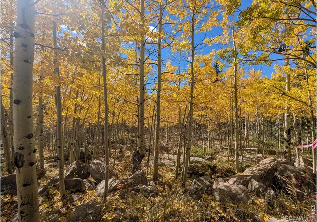 Photo 2 of Land for sale at 0 Bear Gulch Rd, Red Feather Lakes, CO 80545 | MLS# IR1047103 | Listing updated on 2026-09-17