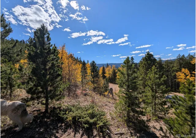 Photo 3 of Land for sale at 0 Bear Gulch Rd, Red Feather Lakes, CO 80545 | MLS# IR1047103 | Listing updated on 2026-09-17