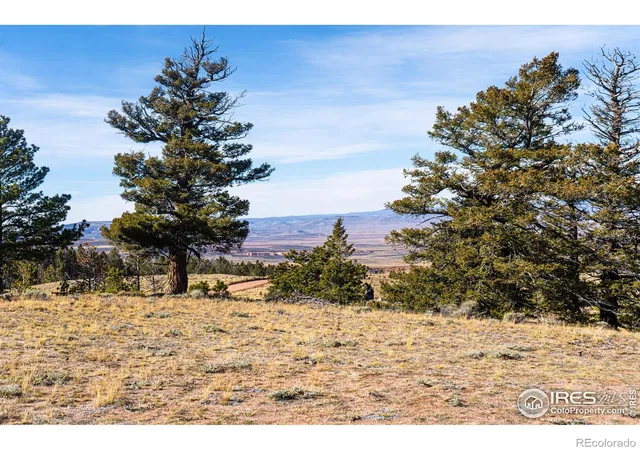 Photo 2 of Land for sale at 0 Wilderness Ranch Rd, Red Feather Lakes, CO 80545 | MLS# IR1047231 | Listing updated on 2026-09-17