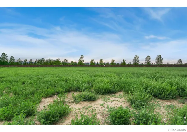 Photo 2 of Land for sale at 1574 Hauck Meadows Dr, Frederick, CO 80504 | MLS# IR1047627 | Listing updated on 2026-09-17