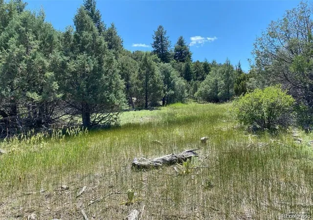 Photo 3 of Land for sale at 779 County Rd 48, Howard, CO 81233 | MLS# 9974213 | Listing updated on 2026-09-08