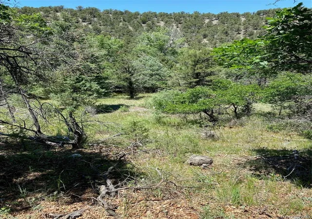 Photo 3 of Land for sale at 779 County Rd 48, Howard, CO 81233 | MLS# 9974213 | Listing updated on 2026-09-08