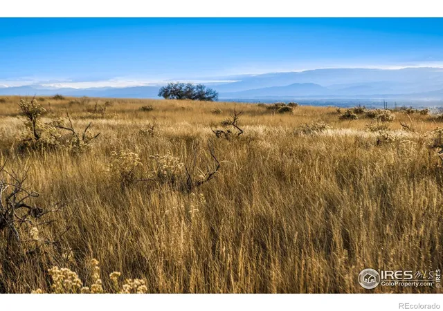 Photo 4 of Land for sale at 7913 County Rd 84, Fort Collins, CO 80524 | MLS# IR1050676 | Listing updated on 2026-09-17